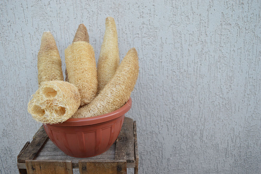 loofahs