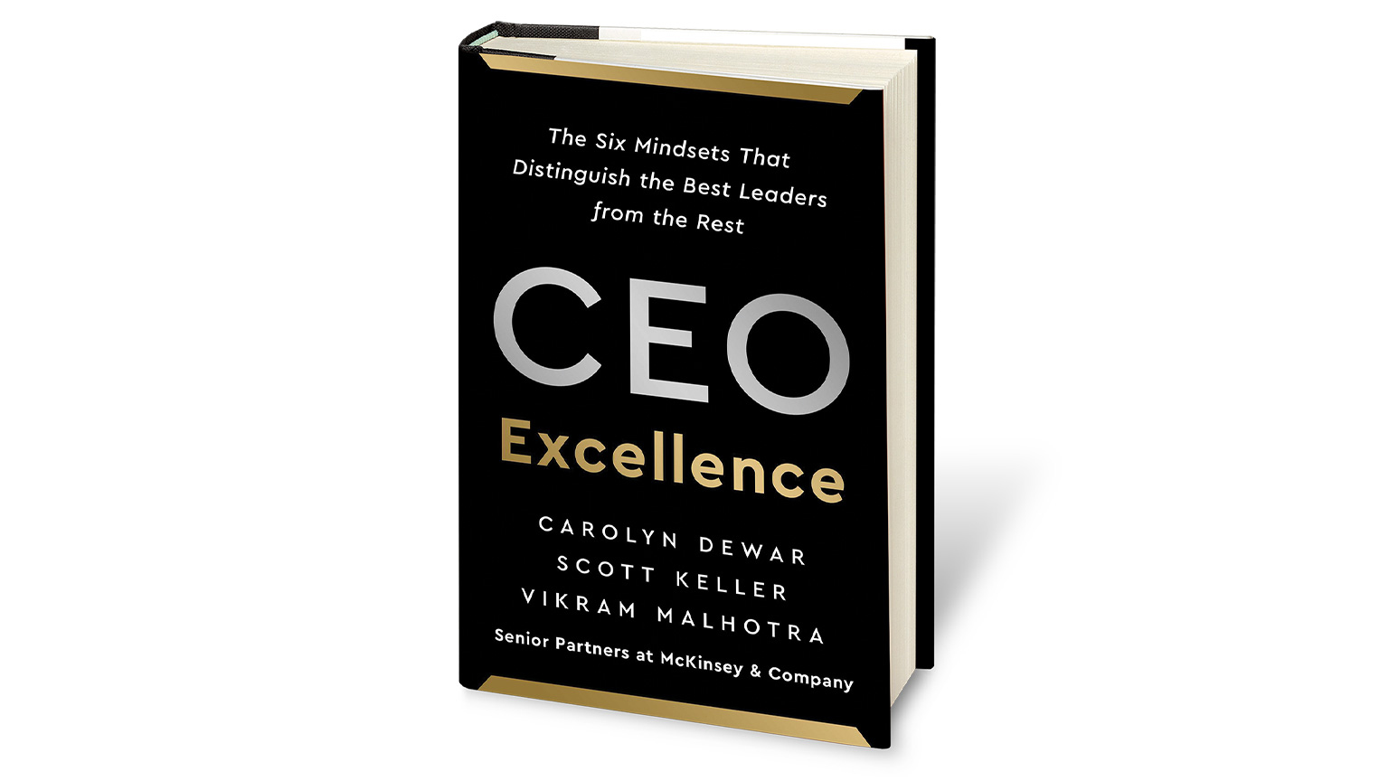 CEO Excellence book