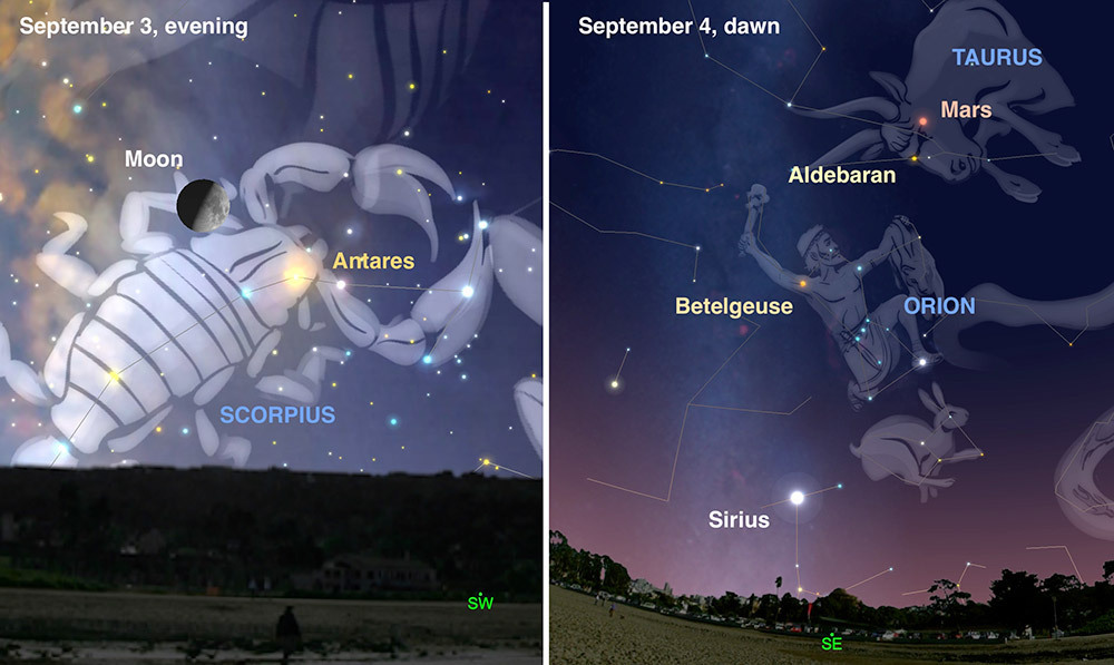 Illustration of the night sky with constellation figures