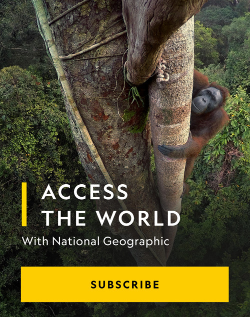 Access the world with National Geographic. Subscribe.