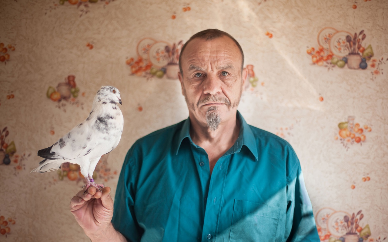 Dan Dawson has kept Horseman Thief pigeons for 50 years.