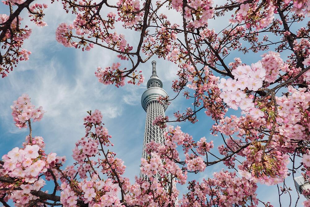 The Tokyo Skytree, one of the capital city's most recognizable skyscrapers