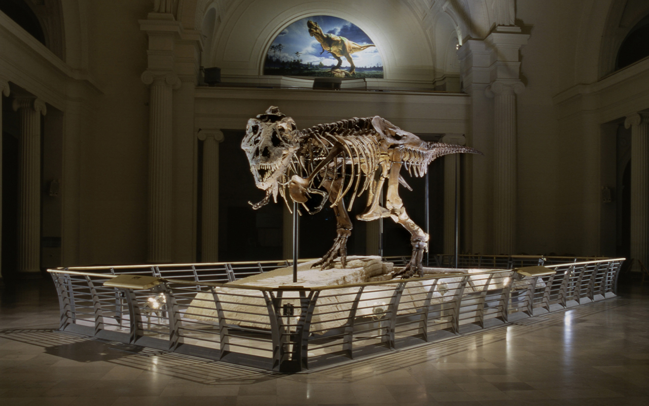 View of the completed exhibit installation of the fossil skeleton of Sue, a Tyrannosaurus Rex, seen in a darkened Stanley Field Hall at the Field Museum, Chicago, Illinois, June 15, 2000.