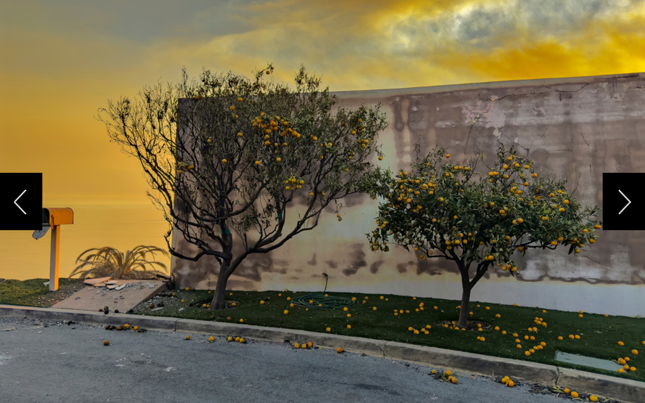 Two orange trees remain amid the destruction along the Pacific Coast Highway. 