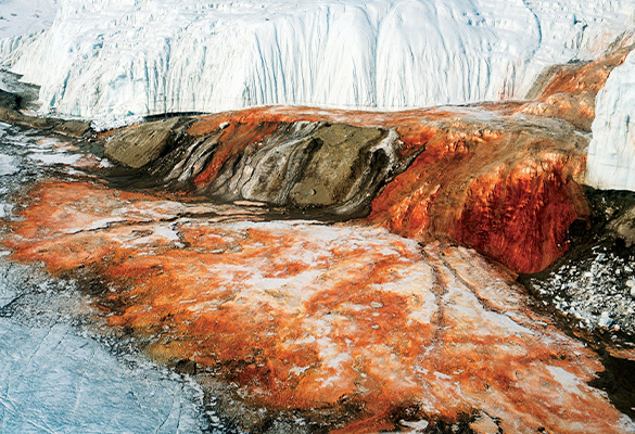 The red-brown Blood Falls in Antarctica are named for their unusual color, but what they're really made of–and why the water flows at such a cold temperature–has long been a mystery.