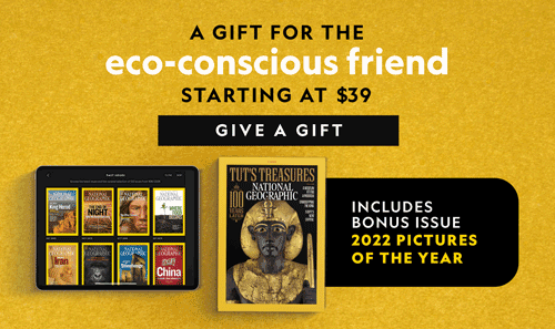 A gift for the eco-conscious friend. A gift for the ever curious. A gift for the know-it-all. Starting at $39. Give a gift. Includes bonus issue 2022 Pictures of the Year.
