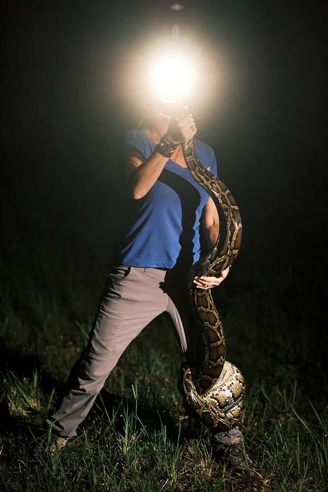 Amy Siewe wrestles with an almost 12-foot Burmese python after pulling it from the brush on Aug. 12, 2023. Amy Siewe teaches people how to find and euthanize invasive Burmese pythons, which have been so successful at adapting to Florida that they appear here to stay.