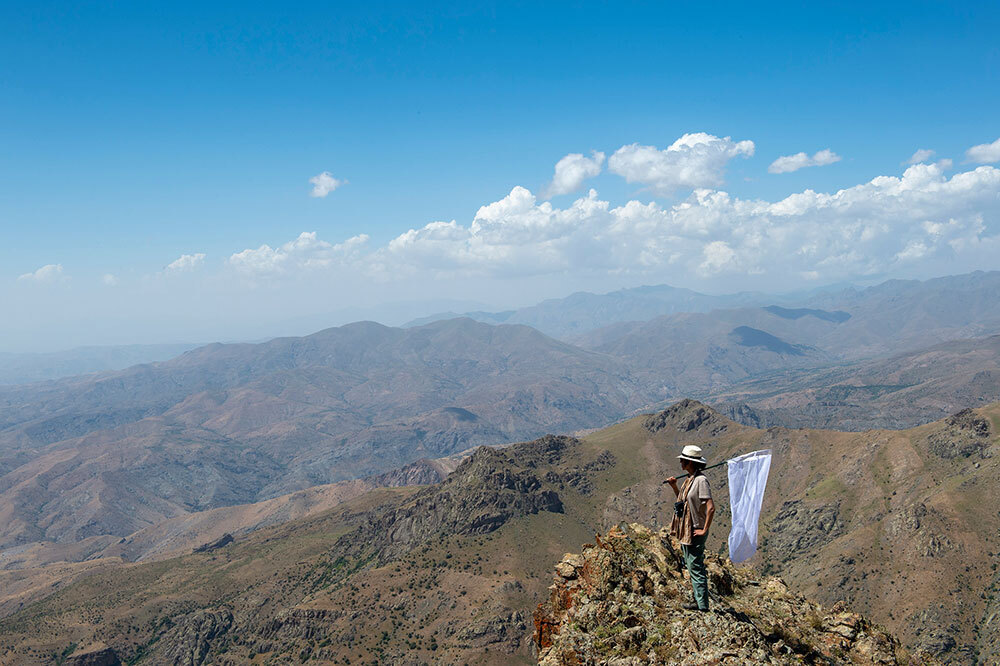A person stands holding a large net while overlooking a mountain range