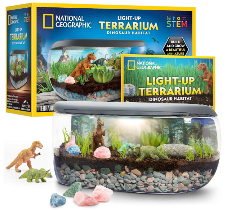 Light Up Terrarium Kit for Kids 