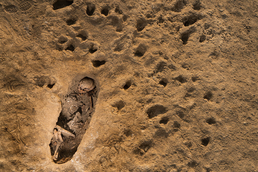 Evidence of heavy rain on the arid coast has led researchers to suggest that the mass sacrifice of hundreds of children alongside baby llamas may have been a desperate response to severe rains and flooding caused by an El Niño event around A.D 1400-1450.