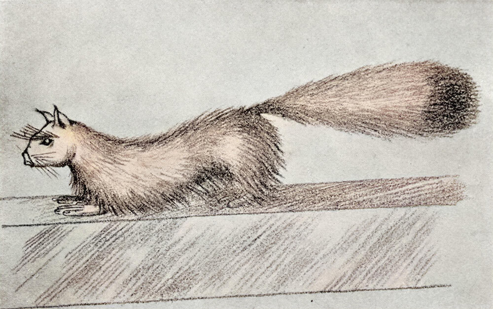 An artist's impression of 'Gef' the so-called talking mongoose that befriended Voirrey Irving, a 17-year old girl from the Isle of Man, and her family.