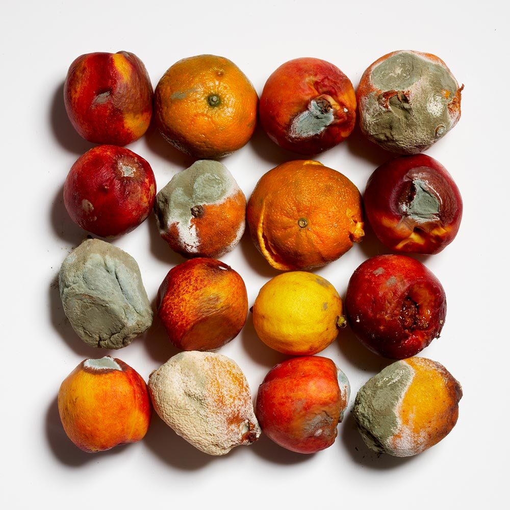 Moldy fruit in various stages of rot, arranged in a 4x4 grid.