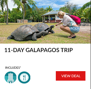 11-Day Galapagos & Machu Picchu Trip w/Hotels & Meals