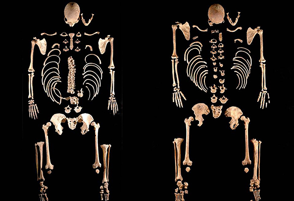 These skeletons of ancient hunter-gatherers—which happen to be brothers—helped researchers discover a surprisingly complex genetic picture of the Iberian Peninsula, which is comprised of Spain and Portugal.