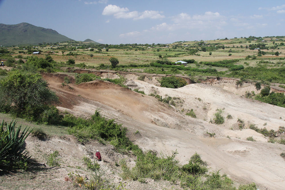 A picture of a dig site in Kenya