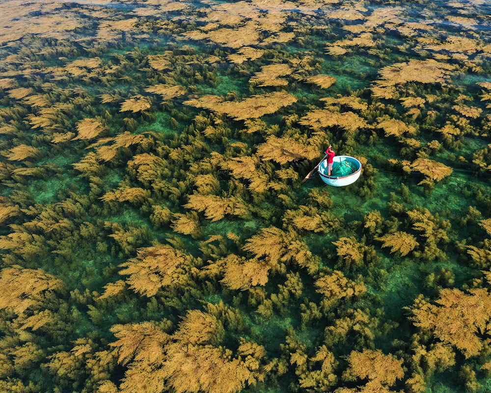 A person paddling a boat over a field of seaweed