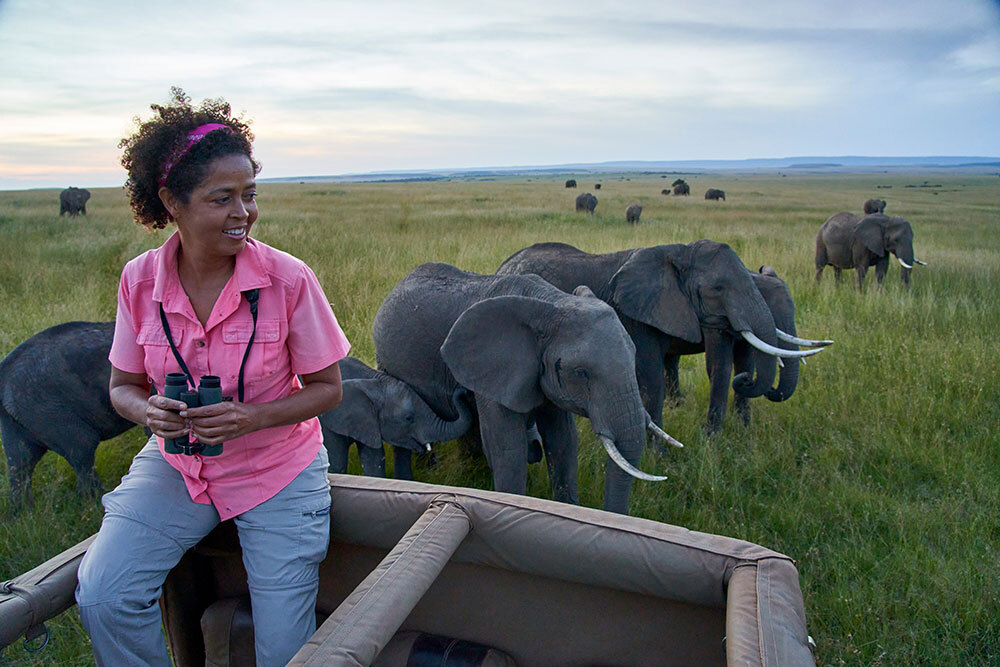 Paula Kahumbu with elephants