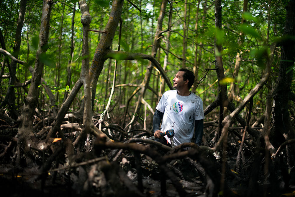 Marine ecologist and National Geographic Explorer Angelo Bernardino hopes his research on mangroves, like the ones here in the northern state of Pará, will help persuade the Brazilian government to prioritize the trees’ protection.