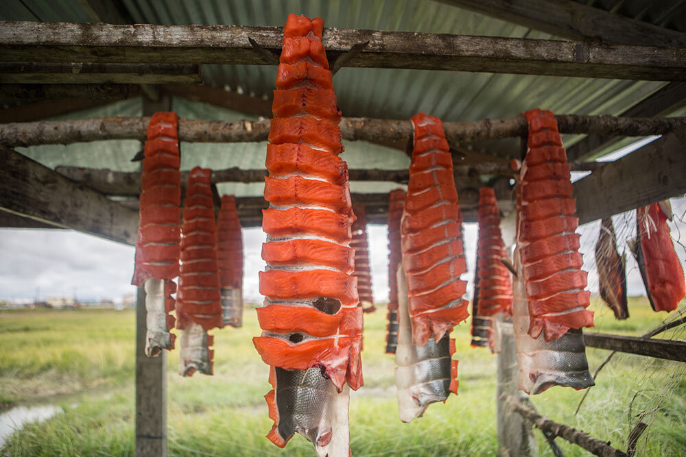 salmon fillets hang