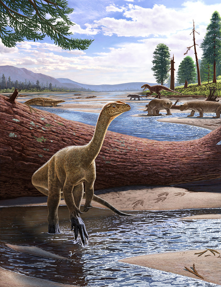 An illustration of a dinosaur in a stream