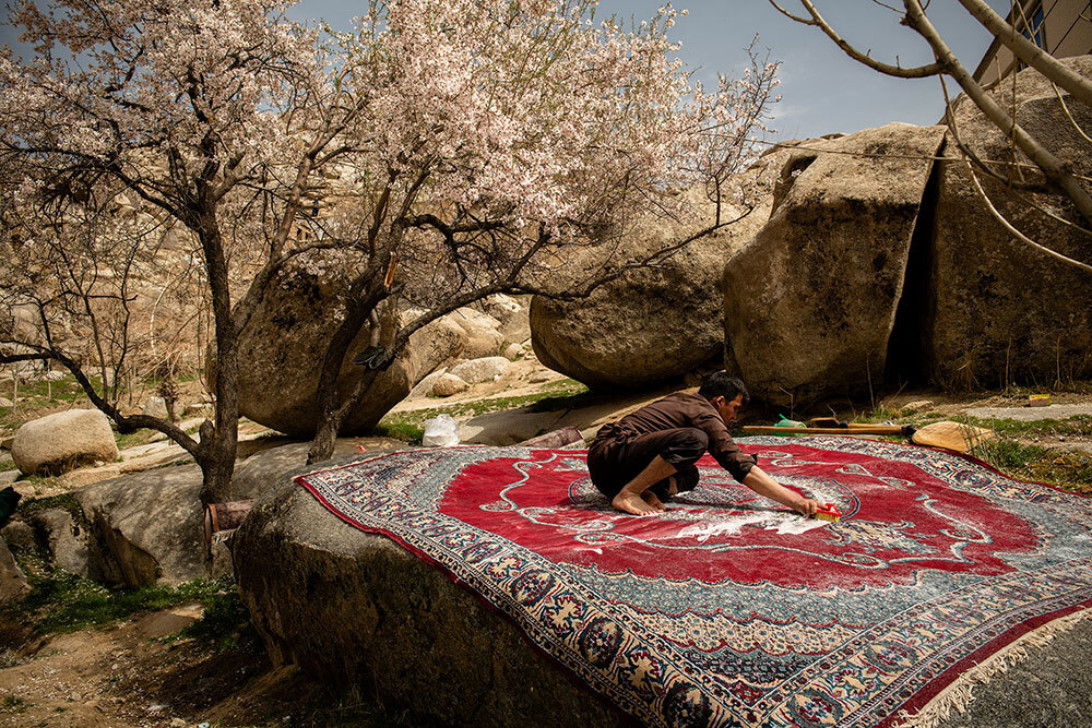 A man cleans a carpet on large stones, flowers are in bloom under a blue sky.