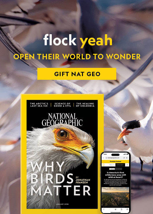 OPEN THEIR WORLD TO WONDER - GIVE THE GIFT OF NATIONAL GEOGRAPHIC.  