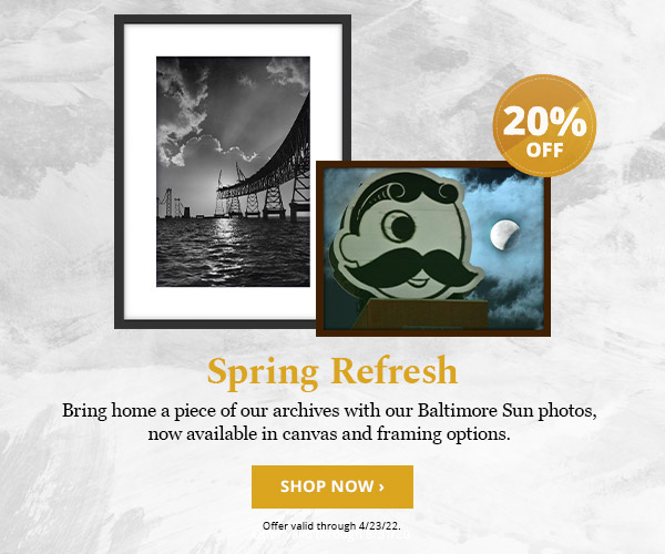 20% OFF All Photos