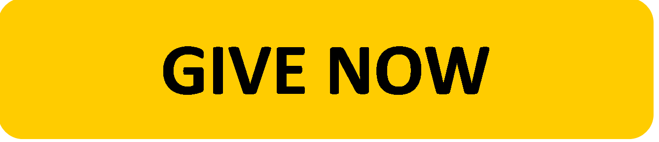 Give $100 dollars today!