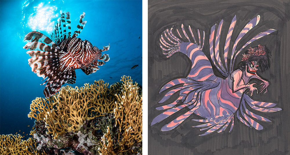 From lionfish to The Little Mermaid