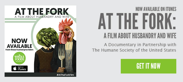 At the Fork: A Film About Husbandry and Wife