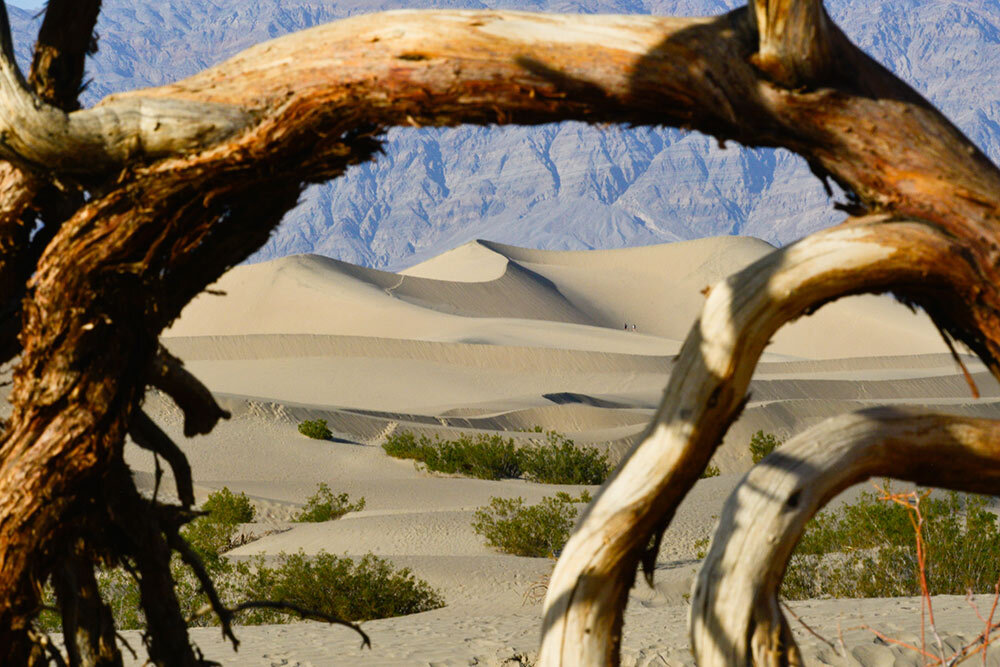 the Mesquite Sand Dunes in Death Valley National Park