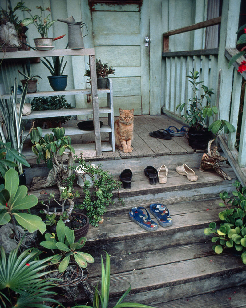 A cat sits by several pairs of shoes outside a home in Hawaii