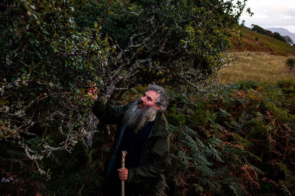 A man with a long beard and a staff touches a tree