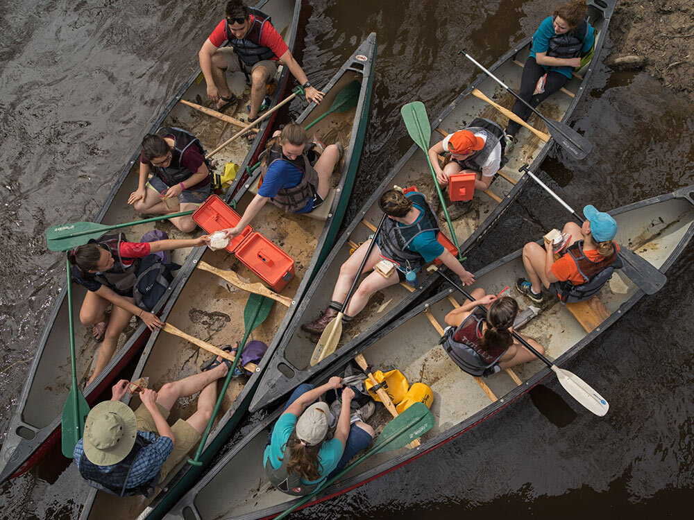 Canoeists picnic on Cedar Creek in Congaree National Park.