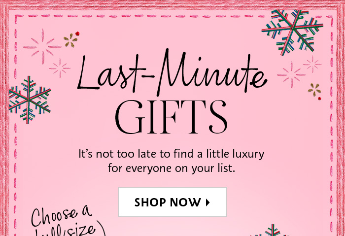 Shop Now Last Minute Gifts