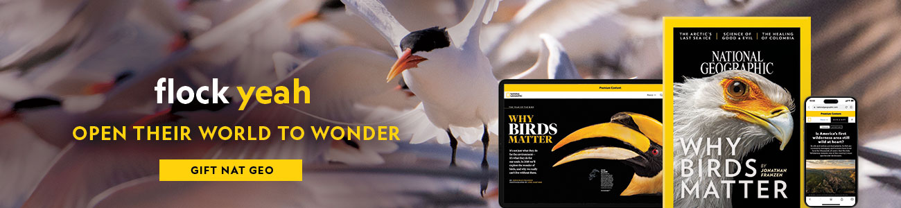 OPEN THEIR WORLD TO WONDER - GIVE THE GIFT OF NATIONAL GEOGRAPHIC.  