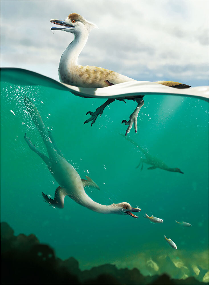 An illustration of duck-like dinosaurs