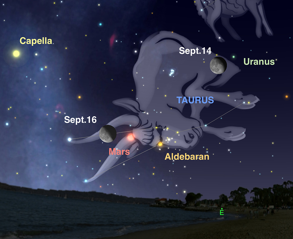 An illustrated bull in the night sky surrounded by celestial objects.