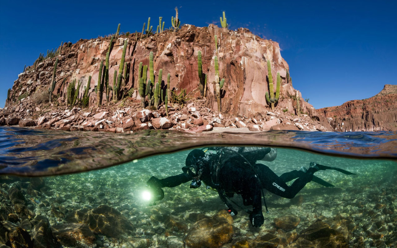 A diver swims near Isla Espiritu Santo in the Gulf of California, a growing body of water that formed just five to 10 million years ago, when tectonic shifts ripped the land of Baja California from what is now Mexico.