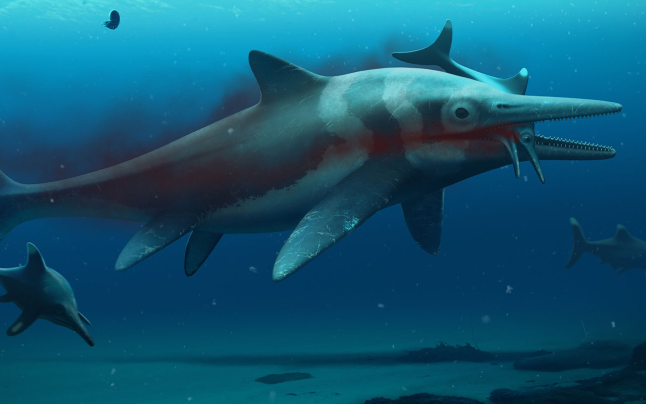 Illustration of an ichthyosaur.