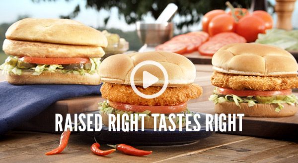 Watch to learn about our Chicken Sandwiches