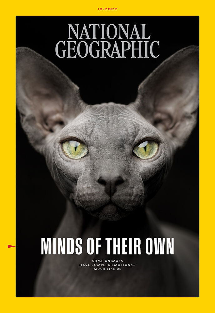 A picture of a cat on the cover of National Geographic magazine