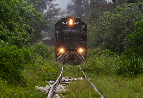 A cargo line runs along timeworn tracks in this June 2020 photo. In the future, the same route is slated to carry the Tren Maya, Mexico’s most ambitious rail project to date.