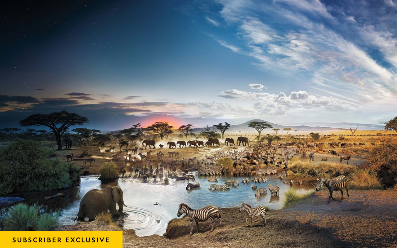 A landscape of a watering hole in the Serengeti National Park filled with all types of animals is shown from day to night in a single image that is stitched together of thousands of frames.