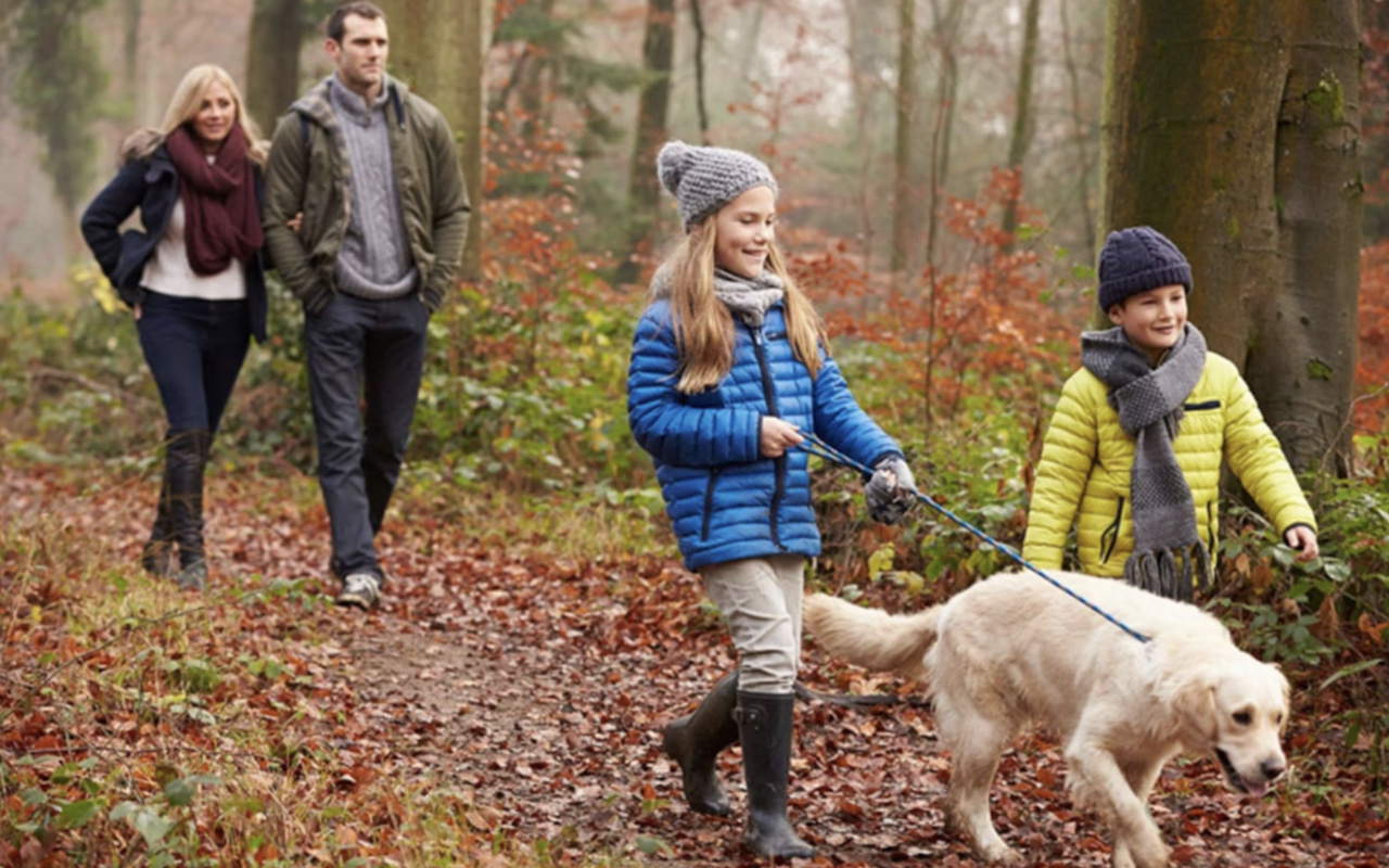 Family hiking with dog