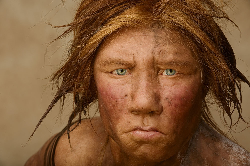 A Neanderthal facial reconstruction (looks kind of like a female Nick Nolte)