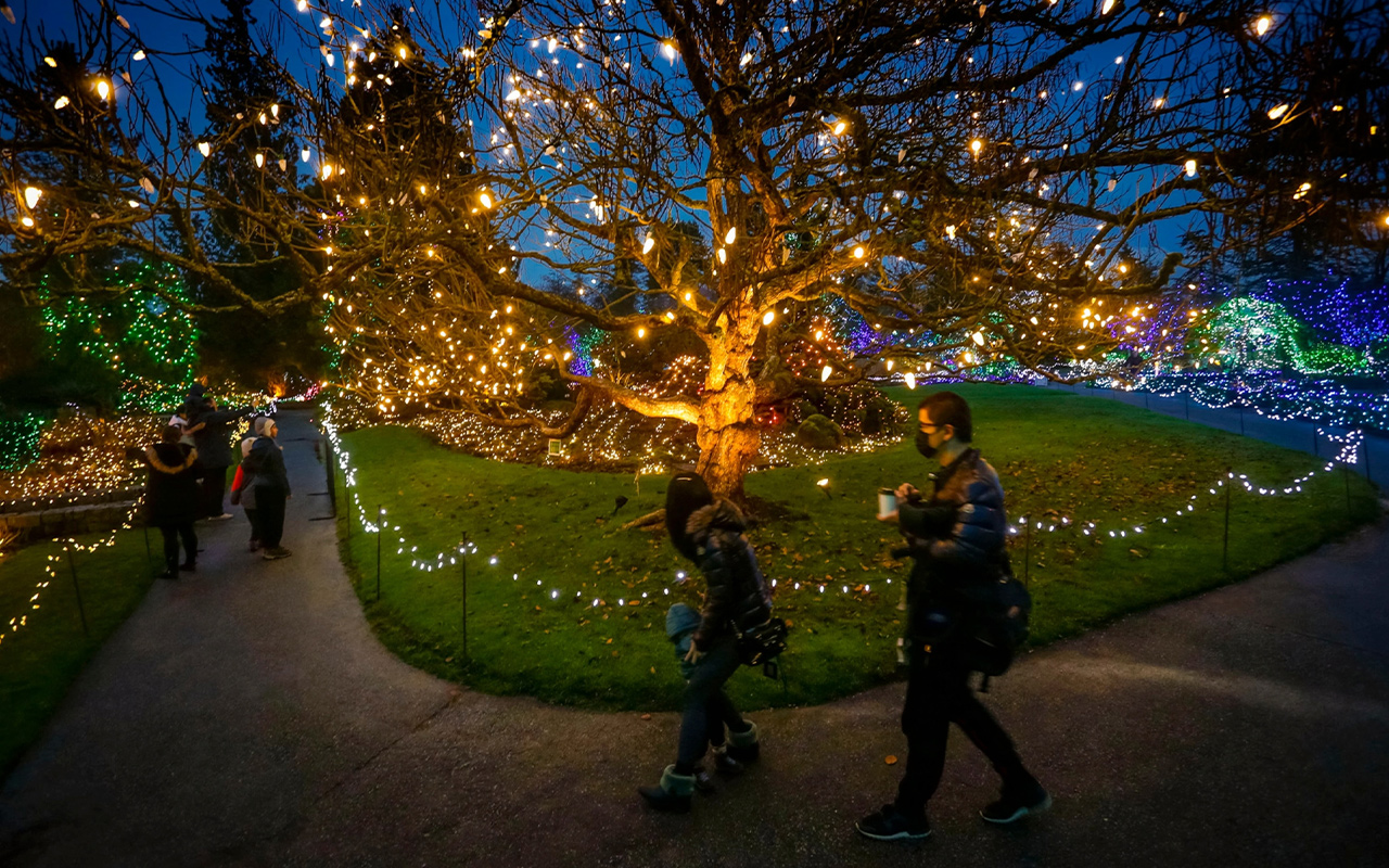 Visitors take a stroll through VanDusen Botanical Garden’s Festival of Lights, where more than a million lights can be seen over 15 acres.