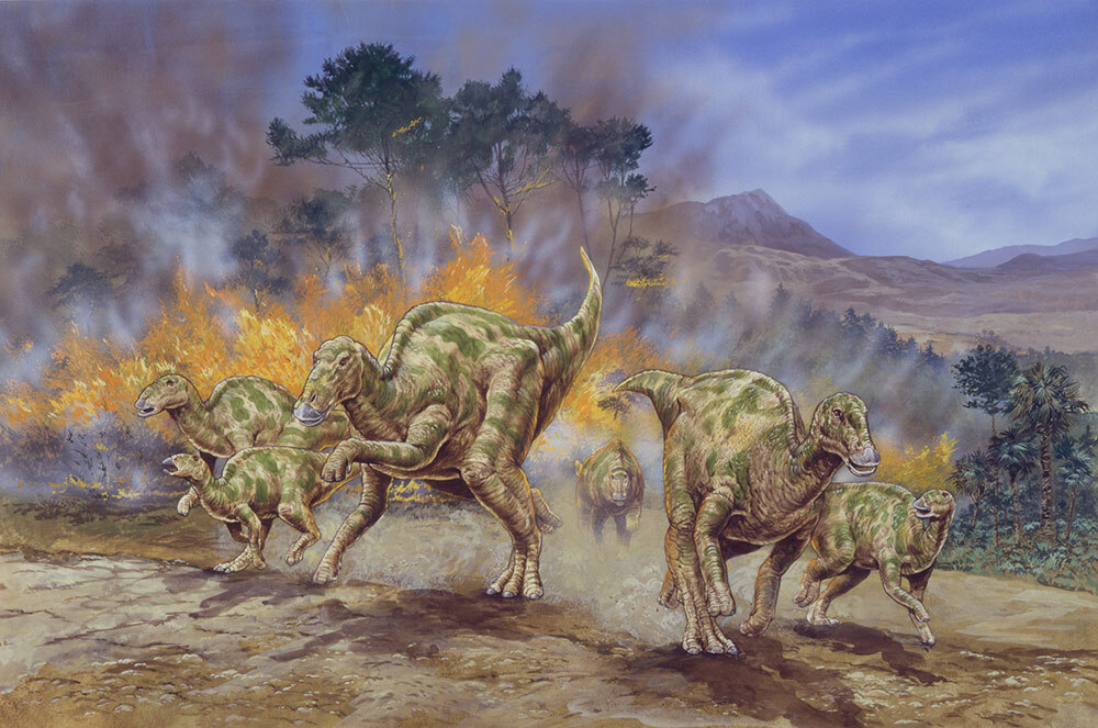 A “exceptional” discovery in Argentina’s Patagonia region has given researchers a new window into the end of the dinosaur age. They’ve found fossils of a herd of duckbilled hadrosaurs (depicted above).