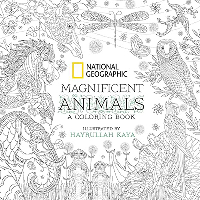 Magnificent Animals: A Coloring Book 