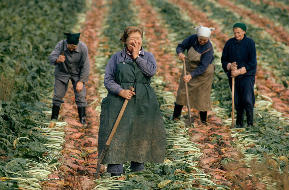 A woman working in a field of beets laughs